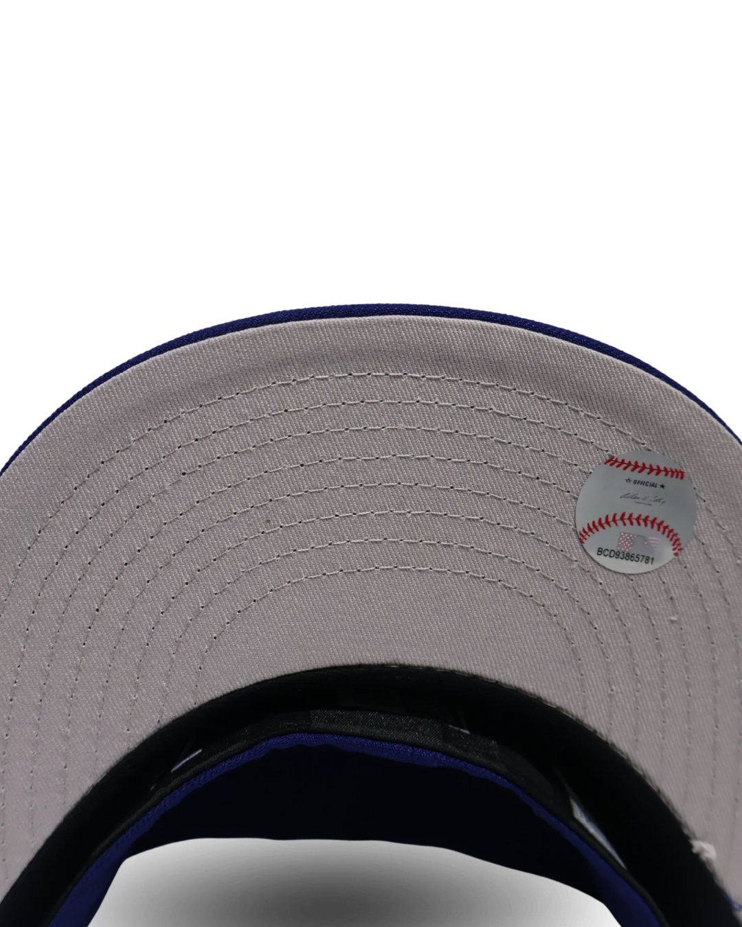 LA PLAIN BLUE FITTED HAT