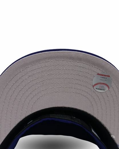 LA PLAIN BLUE FITTED HAT
