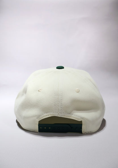 NY GREEN TWO TONE A FRAME HAT
