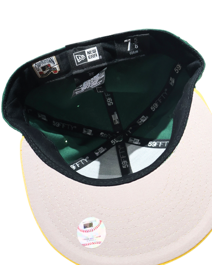 A OAKLAND TWO TONE FITTED HAT