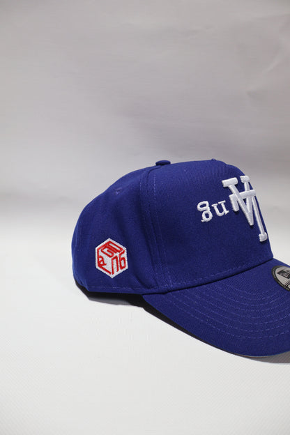 PG “LA” NG REVERSE A FRAME HAT